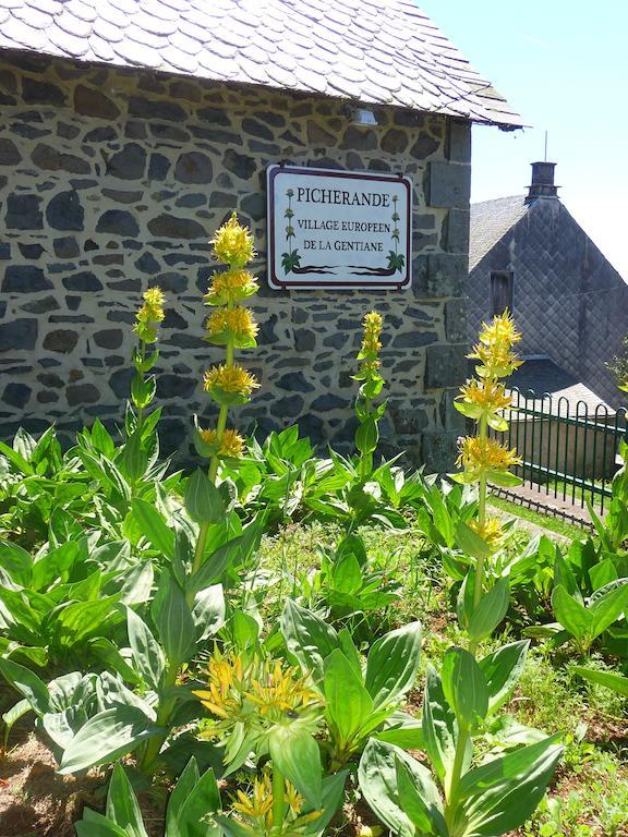 Aux Balcons Du Sancy Aparthotel Picherande Exterior photo